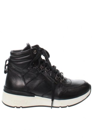 Dámské boty  Carmela, Velikost 37, Barva Černá, Cena  997,00 Kč