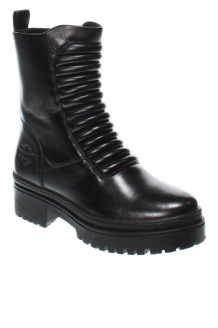 Damen Stiefeletten Harley-Davidson, Größe 36, Farbe Schwarz, Preis 88,66 €