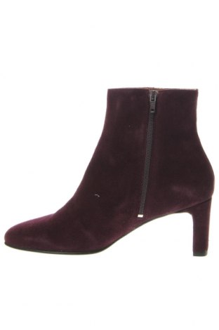 Damen Stiefeletten Studio W, Größe 38, Farbe Lila, Preis € 44,33