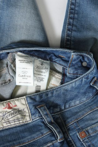 Damen Jeans Herrlicher, Größe XS, Farbe Blau, Preis 88,66 €