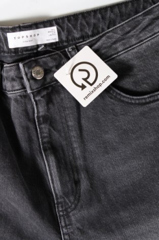 Damen Jeans Topshop, Größe XL, Farbe Grau, Preis € 14,38