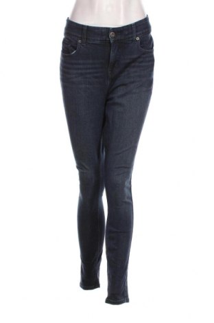 Γυναικείο Τζίν Torrid, Μέγεθος XL, Χρώμα Μπλέ, Τιμή 7,18 €