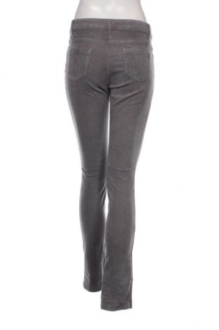 Pantaloni de velvet de femei Blue Motion, Mărime S, Culoare Gri, Preț 31,48 Lei