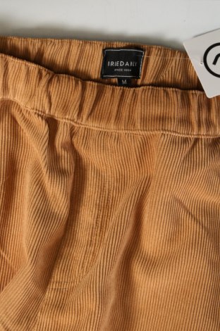 Pantaloni de velvet de femei Iriedaily, Mărime M, Culoare Maro, Preț 61,18 Lei