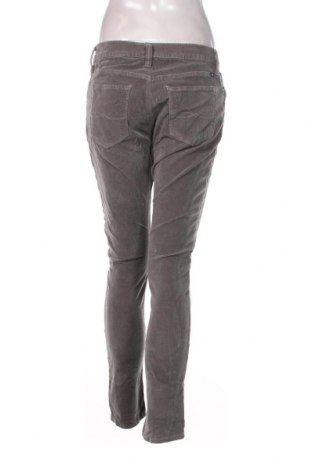 Pantaloni de velvet de femei Lucky Brand, Mărime S, Culoare Gri, Preț 26,97 Lei