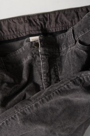 Дамски джинси Sonoma, Размер M, Цвят Сив, Цена 9,57 лв.