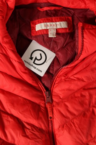 Damenweste Esprit, Größe XS, Farbe Rot, Preis € 12,17