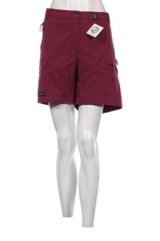 Damen Shorts, Größe XL, Farbe Rot, Preis 13,49 €