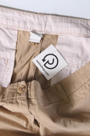 Damen Shorts, Größe XL, Farbe Beige, Preis 13,22 €