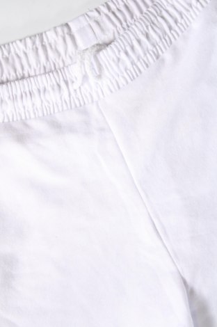 Damen Shorts, Größe L, Farbe Mehrfarbig, Preis 10,00 €