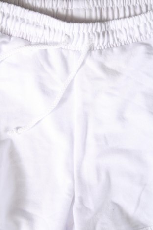 Damen Shorts, Größe L, Farbe Mehrfarbig, Preis 12,00 €