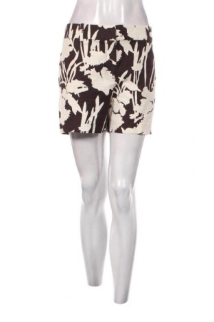 Дамски къс панталон Ann Taylor, Размер XL, Цвят Многоцветен, Цена 26,40 лв.