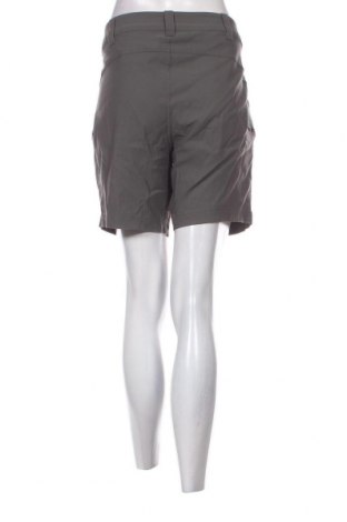 Γυναικείο κοντό παντελόνι Eddie Bauer, Μέγεθος XL, Χρώμα Γκρί, Τιμή 10,52 €