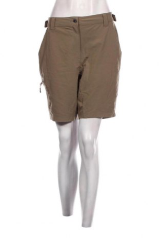 Damen Shorts Icepeak, Größe XL, Farbe Grün, Preis € 13,01