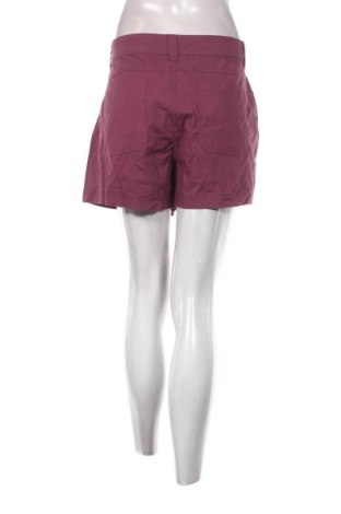 Damen Shorts Mountain Warehouse, Größe XL, Farbe Lila, Preis € 27,86