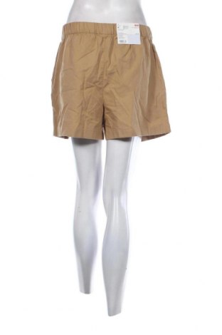 Damen Shorts Uniqlo, Größe XL, Farbe Braun, Preis € 27,30