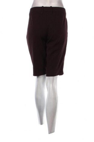 Damen Shorts United Colors Of Benetton, Größe M, Farbe Braun, Preis € 17,00