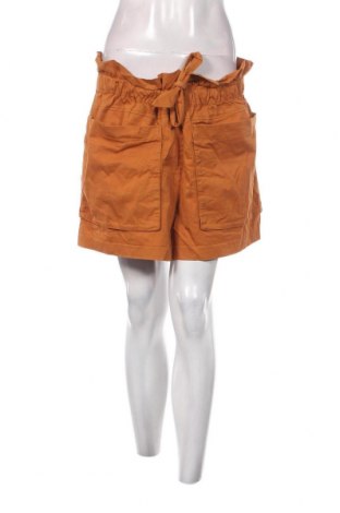 Дамски къс панталон Zara, Размер XL, Цвят Кафяв, Цена 20,00 лв.