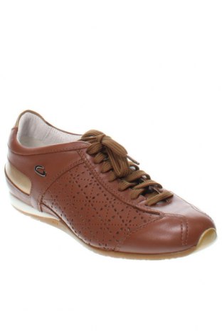 Damenschuhe Alberto Guardiani, Größe 35, Farbe Braun, Preis 47,09 €