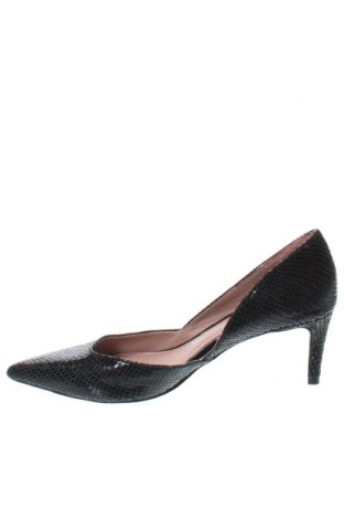 Γυναικεία παπούτσια Next, Μέγεθος 36, Χρώμα Μαύρο, Τιμή 16,69 €