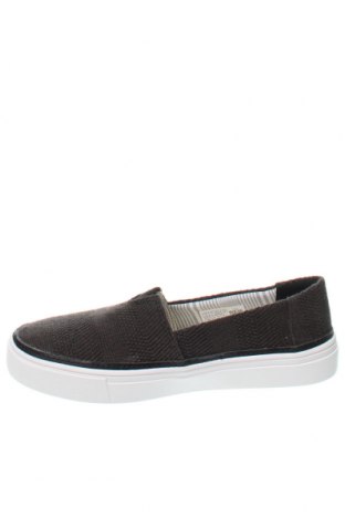 Damenschuhe Toms, Größe 36, Farbe Schwarz, Preis 16,70 €