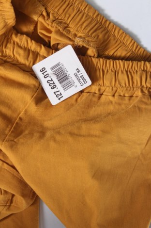 Damenhose, Größe M, Farbe Gelb, Preis € 23,38