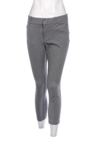 Γυναικείο παντελόνι AND, Μέγεθος M, Χρώμα Γκρί, Τιμή 4,13 €