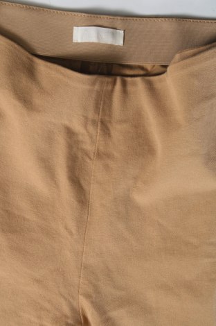 Damenhose Arket, Größe XS, Farbe Braun, Preis 17,74 €