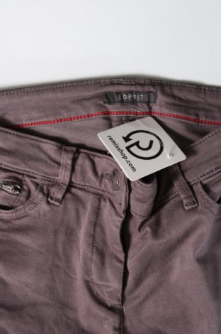 Pantaloni de femei Esprit, Mărime S, Culoare Gri, Preț 67,99 Lei