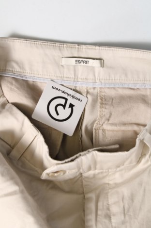 Damenhose Esprit, Größe S, Farbe Beige, Preis € 13,63