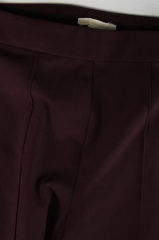 Damenhose H&M, Größe XS, Farbe Lila, Preis € 7,56