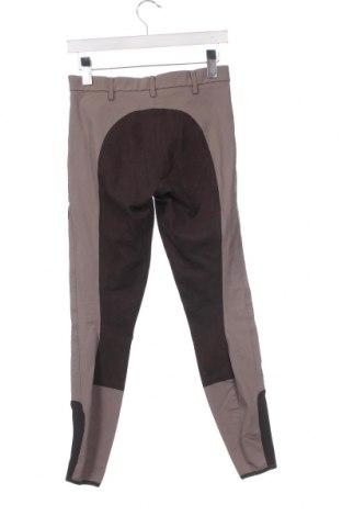 Damenhose Pikeur, Größe S, Farbe Beige, Preis € 19,82