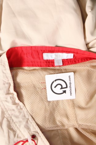 Damenhose TCM, Größe M, Farbe Beige, Preis € 6,79