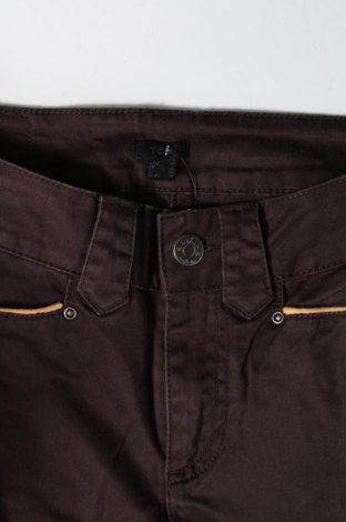 Damenhose TCM, Größe S, Farbe Braun, Preis 8,50 €