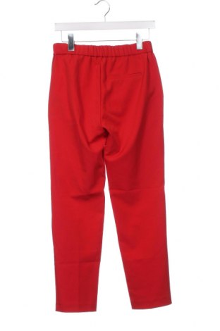 Damenhose Zara Trafaluc, Größe XS, Farbe Rot, Preis 7,14 €