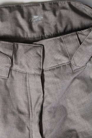 Damenhose für Wintersport Crane, Größe S, Farbe Grau, Preis € 29,23