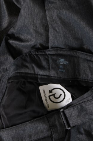 Damenhose für Wintersport Crane, Größe L, Farbe Grau, Preis € 29,23