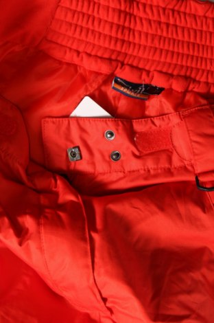 Дамски панталон за зимни спортове Crivit, Размер M, Цвят Червен, Цена 42,00 лв.