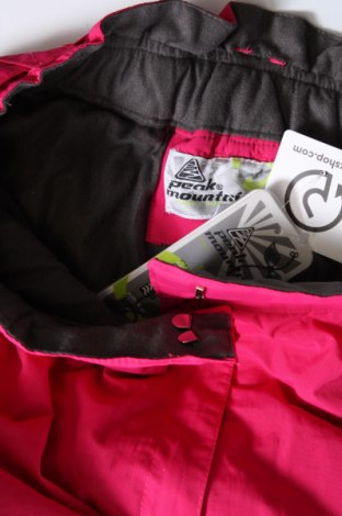 Damenhose für Wintersport Peak Mountain, Größe XL, Farbe Rosa, Preis € 40,19