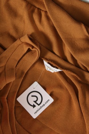 Damenpullover Aeropostale, Größe M, Farbe Braun, Preis 9,28 €