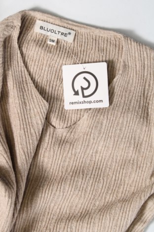 Γυναικείο πουλόβερ Bluoltre, Μέγεθος S, Χρώμα  Μπέζ, Τιμή 7,56 €
