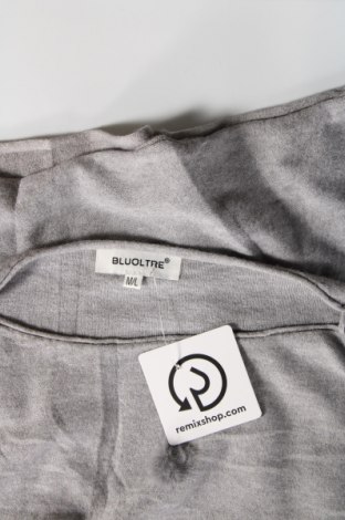 Γυναικείο πουλόβερ Bluoltre, Μέγεθος M, Χρώμα Γκρί, Τιμή 8,25 €