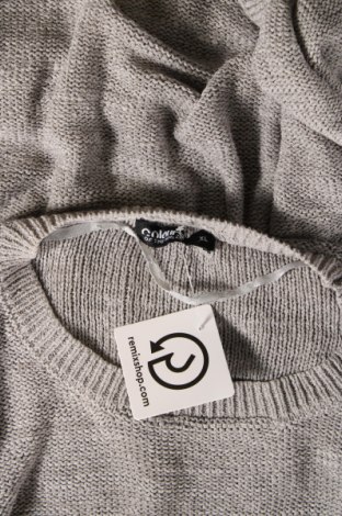 Damenpullover Colloseum, Größe XL, Farbe Grau, Preis € 7,49