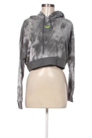 Damen Sweatshirt Adidas Originals, Größe XS, Farbe Grau, Preis € 33,40