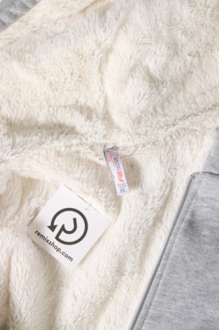 Damen Sweatshirt Fb Sister, Größe XL, Farbe Grau, Preis € 9,08