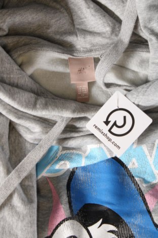 Damen Sweatshirt H&M, Größe 3XL, Farbe Grau, Preis 18,16 €