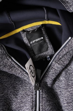 Damen Sweatshirt Icepeak, Größe XL, Farbe Mehrfarbig, Preis 26,72 €