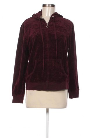 Damen Sweatshirt New York & Company, Größe L, Farbe Rot, Preis € 12,84
