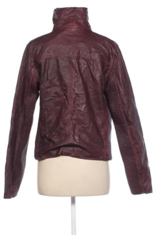 Dámska kožená bunda  Colours Of The World, Veľkosť XL, Farba Červená, Cena  19,45 €