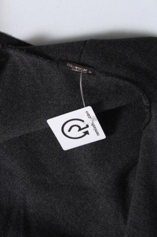 Γυναικείο παλτό Colloseum, Μέγεθος XL, Χρώμα Γκρί, Τιμή 39,05 €